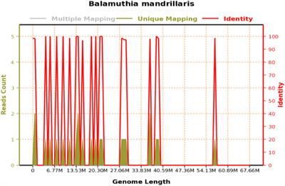 Application of ventriculoscopy in granulomatous amoebic encephalitis: a case report in China and literature review